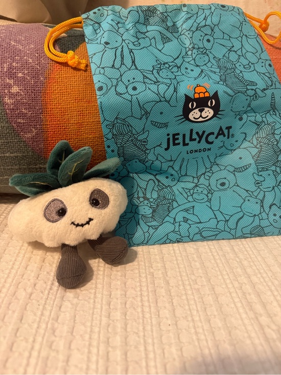 Jellycat Other - Jellycat Amusable Skull Planter Keychain